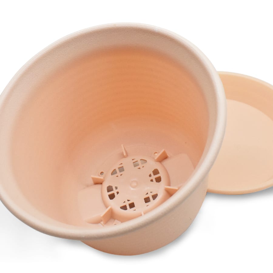 MACETA PLASTICA 13CM COLORES SURTIDO 7902 - Image 9